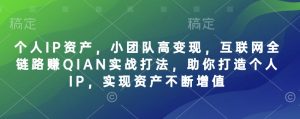 个人IP资产，小团队高变现，互联网全链路赚QIAN实战打法，助你打造个人IP，实现资产不断增值-皓收集 | 网创宝典