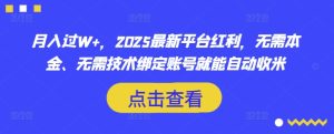 月入过W+，2025最新平台红利，无需本金、无需技术绑定账号就能自动收米-皓收集 | 网创宝典