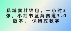 私域卖壮锦包，一小时3张，小红书蓝海赛道3.0版本， 保姆式教学--皓收集 | 网创宝典