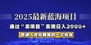 2025年首次揭秘如何通过“网创项目”日入多张【揭秘】--皓收集 | 网创宝典