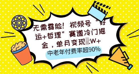 无需露脸，视频号“好运+哲理”赛道冷门掘金，单月变现2W+，中老年付费率超90%-皓收集 | 网创宝典