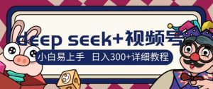 deepseek+视频号新风口，人生感悟图文赛道零基础掘金攻略，小白3天上手，日入3张--皓收集 | 网创宝典