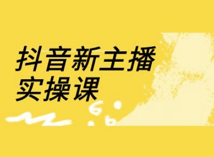 抖音新主播实操课，直播间流量运营线上实操课(18节)-皓收集 | 网创宝典