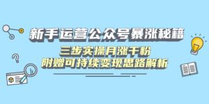 新手运营公众号暴涨秘籍，三步实操月涨千粉，附赠可持续变现思路解析--皓收集 | 网创宝典