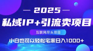 私域IP+引流卖项目，小白也可以做到轻松宅家日入1000+--皓收集 | 网创宝典
