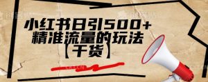 小红书日引500+精准流量的玩法【干货】--皓收集 | 网创宝典