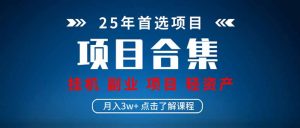 2025 实操项目合集 挂机类型 直播类型 轻资产创业类型 课程分享各项目…--皓收集 | 网创宝典