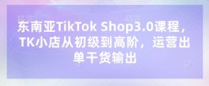 东南亚TikTok Shop3.0课程，TK小店​从初级到高阶，运营出单干货输出--皓收集 | 网创宝典