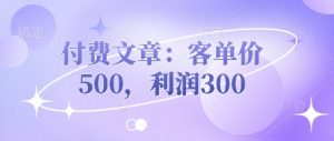 付费文章：客单价500，利润300--皓收集 | 网创宝典