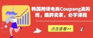韩国跨境电商Coupang高阶班，酷胖卖家，必学课程--皓收集 | 网创宝典