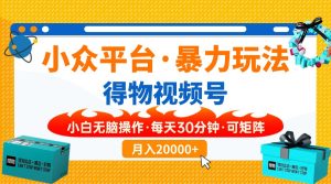 小众平台暴力玩法，一键搬运爆款视频，可矩阵小白无脑操作，每天30分钟…--皓收集 | 网创宝典