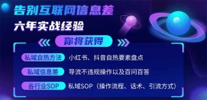 2025最新流量玩法出炉，无视平台风控，小红书暴利引流打法，日引流1000＋--皓收集 | 网创宝典