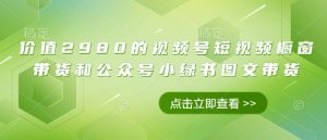 价值2980的视频号短视频橱窗带货和公众号小绿书图文带货--皓收集 | 网创宝典