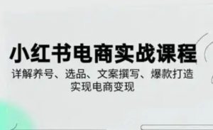 小红书从0-1实操课(2023-2025)，详解养号、选品、文案撰写、爆款打造实现电商变现--皓收集 | 网创宝典