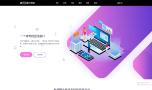 彩虹聚合登录系统 首页简约模板源码--皓收集 | 网创宝典