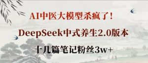 AI中医大模型杀疯了！DeepSeek中式养生2.0版本，十几篇笔记粉丝3w+--皓收集 | 网创宝典