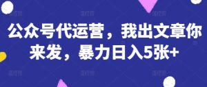 公众号代运营，我出文章你来发，暴力日入5张+【揭秘】--皓收集 | 网创宝典