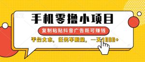 手机零撸小项目，复制粘贴抖音广告即可赚钱，平台大水，任务不限量，一...--皓收集 | 网创宝典