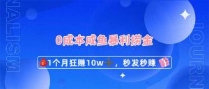 0成本闲鱼暴利捞金，1个月狂赚10W+，秒发秒赚新玩法--皓收集 | 网创宝典
