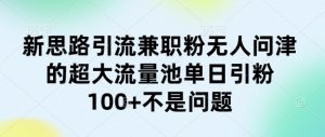 新思路引流兼职粉无人问津的超大流量池单日引粉100+不是问题--皓收集 | 网创宝典