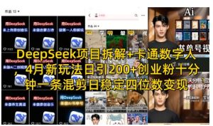 DeepSeek项目拆解+卡通数字人，4月新玩法日引200+创业粉十分钟一条混剪日稳定四位数变现--皓收集 | 网创宝典