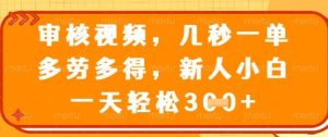最新审核视频，几秒一单，多劳多得，新人小白一天轻松3张【揭秘】--皓收集 | 网创宝典