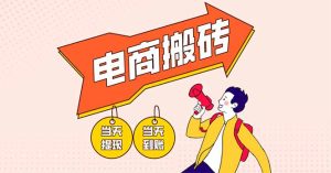 电商搬砖项目，单机日收益300+，非常暴力，小白上手就会--皓收集 | 网创宝典