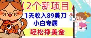 2个新项目，轻松挣美金， 1天收入89美刀，小白专属，干货分享--皓收集 | 网创宝典