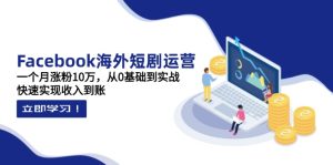 Facebook海外短剧运营：一个月涨粉10万，从0基础到实战，快速实现收入到账--皓收集 | 网创宝典