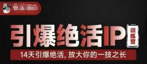 引爆绝活IP训练营，14天引爆绝活，放大你的一技之长--皓收集 | 网创宝典