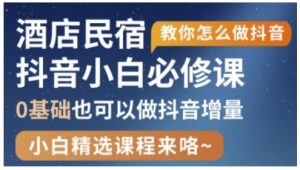 抖音本地生活酒店民宿运营，0基础也可以做抖音增量--皓收集 | 网创宝典