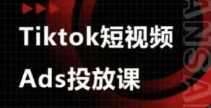 Ads视频投放课，tiktok短视频广告投放课--皓收集 | 网创宝典