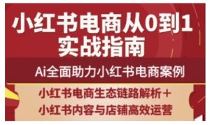 2025小红书电商全链路运营，Ai全面助力小红书电商案例--皓收集 | 网创宝典