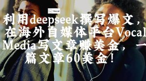 出海搞钱！利用deepseek撰写爆文，在海外自媒体平台Vocal Media写文章挣美金，一篇文章60刀--皓收集 | 网创宝典