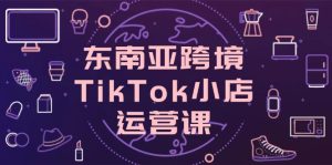 东南亚跨境TikTok小店运营课，掌握店铺设置与流量转化核心技巧--皓收集 | 网创宝典