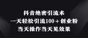 抖音绝密引流术，一天轻松引流100+创业粉，当天操作当天见效果--皓收集 | 网创宝典