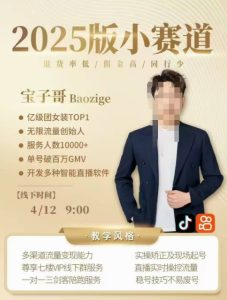 宝子哥4月12-13号线下课，全程录音【带字幕】和PPT，本期重点短视频打法摆脱缺号困扰--皓收集 | 网创宝典