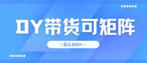 DY带货，日入300＋矩阵无上限--皓收集 | 网创宝典
