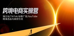 跨境电商实操营：独立站/TikTok/谷歌广告/YouTube，精准选品与高效引流--皓收集 | 网创宝典
