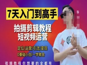 7天入门到高手，短视频剪辑运营高手课，定位 运营 引|流 变现，0基础小白一学就会--皓收集 | 网创宝典