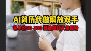 AI简历代做解放双手，客单价50-300不等，既能挣钱又能囤粉--皓收集 | 网创宝典