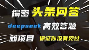 头条问答，刚出的新玩法！保证你没见过！用DeepSeek去高效答题，一个账…--皓收集 | 网创宝典
