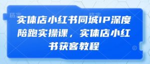 实体店小红书同城IP深度陪跑实操课，实体店小红书获客教程--皓收集 | 网创宝典