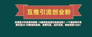 【0撸项目互推引流创业粉】一个微信每天免费引流30-50精准创业粉，免费引流，当天见效，轻松变现几张--皓收集 | 网创宝典