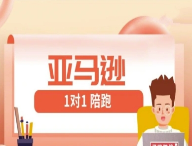 亚马逊1对1陪跑课(FBA/FBM精铺)跨境亚马逊教程--皓收集 | 网创宝典