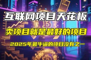 【2025年4月】知识付费镰刀训练营：单号年赚百万的超级IP孵化术--皓收集 | 网创宝典