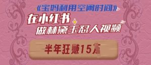 宝妈利用空闲时间，小红书做林黛玉在线怼人视频，快速涨粉，实现账号变现--皓收集 | 网创宝典