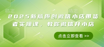 2025新版原创微信小店带货者实操课，教你微信开小店--皓收集 | 网创宝典
