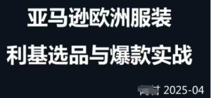 跨境电商选品案例24-25年，聚焦跨境电商选品策略与运营优化，助力卖家挖掘蓝海市场--皓收集 | 网创宝典
