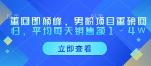 重回即颠峰，男粉项目重磅回归，平均每天销售额1-4W--皓收集 | 网创宝典